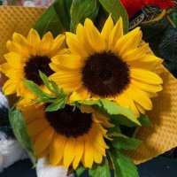 ひまわり (@way999444) 's Twitter Profile Photo ひまわり (@way999444) 's Twitter Profile Photo