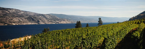 #BCwine Agency We luv local, follow our adventures selling #bcwine