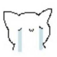 마시 (@rkdchl__) 's Twitter Profile