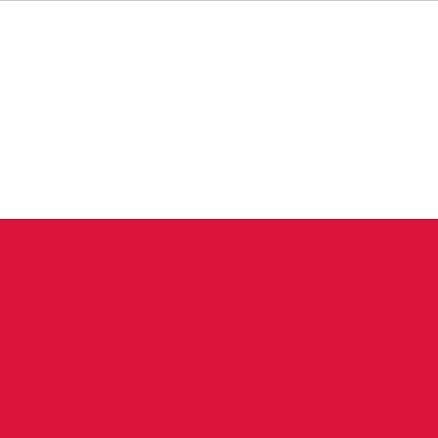 i take random tweets from my timeline and i make them polish 🇵🇱🇵🇱