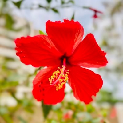 Vrushti1238's profile picture. 