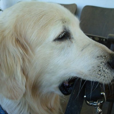 TrueFriendRanch's profile picture. 