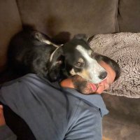 Kel 🌮 (@keldeltaco) 's Twitter Profile