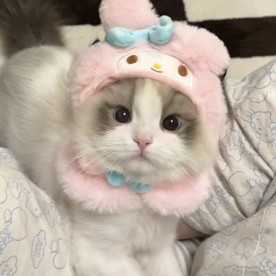 jin ★さんのプロフィール画像