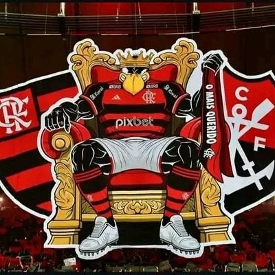 Um flamenguista que ama o Flamengo sempre te amarei ó meu Mengo❤️🖤