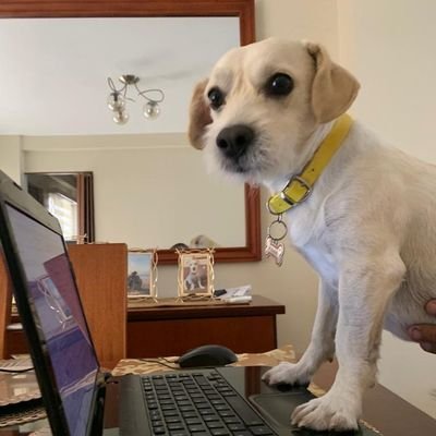 PAJF2020's profile picture. Representante Comercial Cerámica y Porcelanato . Personal Trainer GoalKeeper. BSC Fans # 1