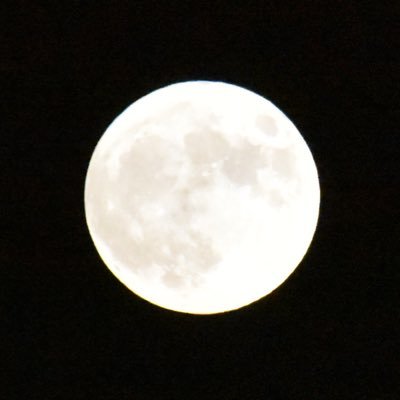 Sports Lover ~ Hogs Fan 🐗 #WPS Dawgs Fan 🐶 #HAILSTATE #moonnerd