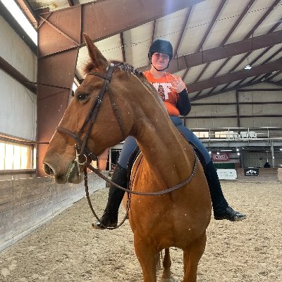 17 years old, Chambersburg, PA Swan Lake Stables Hunter|Jumper University of Findlay ‘28 | Insta: @audd.eq