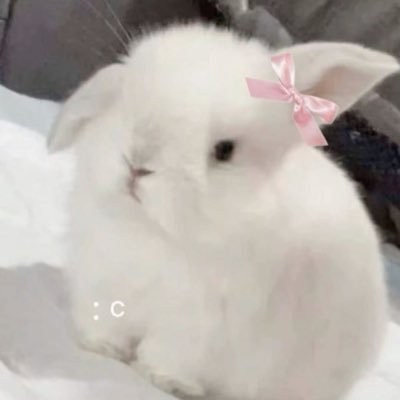 c7PH5pMiuQWP86n's profile picture. 