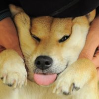 Charlie (@charliecat_24) 's Twitter Profile