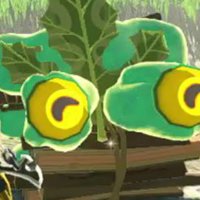 FREDRICK THE KOROK (@korok_the_legen) Twitter profile photo