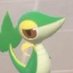 Snivy Propaganda (@495Snivy) Twitter profile photo