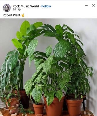 koilugeet's profile picture. #TeaPower, Naturalist, Agribusiness, Grandad