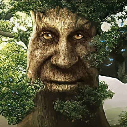 OAK TREE 🌲さんのプロフィール画像