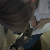 pau ✢ (@soopau3) 's Twitter Profile