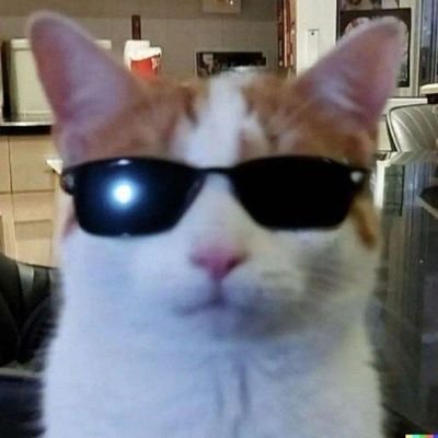 کان لا قاتا if بی جنبه ای☹
بنام عدالت
ضامن آهو🏳️🌈