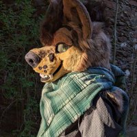 de vil (@hoffnungbuddy) 's Twitter Profile