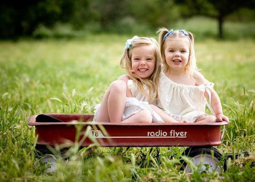 cssndrowen525's profile picture. 