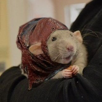 RyanRevengeance's profile picture. Thinking about cheese