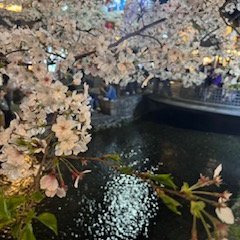 se248122's profile picture. Trading Memo, Robinhood Gold card holder

Deepen my investment knowledge

Read a lot of books

I keep studying. I like to read books.
インドア関西人