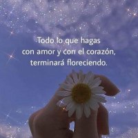 Primavera🍃🏵🌼🌿 (@bloomevryday) 's Twitter Profile