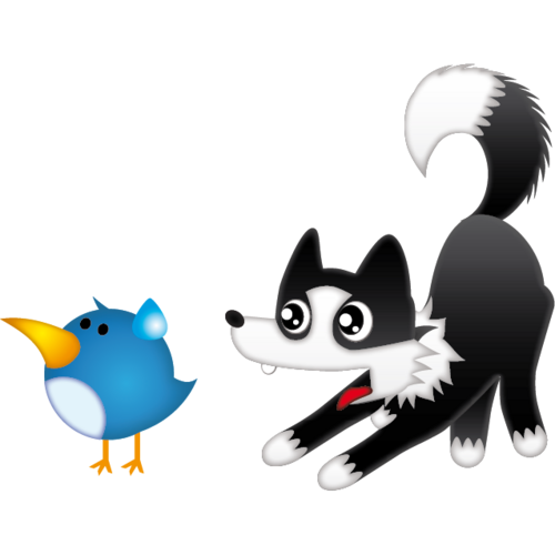 SophieLaBorder's profile picture. CDO (Chief DOG Officer) en @Amigales /El terror del patio/Adicta al agua del wuater/Coleccionista de palos y Ninja de calcetines/Perra pastora/Un langüetazo?