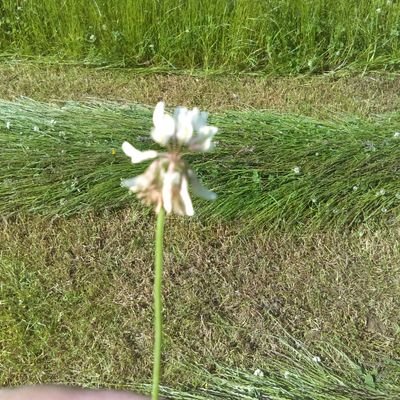 agsciDara's profile picture. Teacher