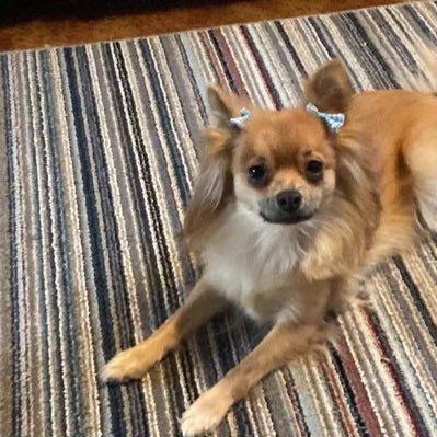JjeeKadun24712's profile picture. Just A Normal Guy my Venmo is @Ncknapp83 my cashapp is $TuckTuckGoosh and my chime is $Kadynisawesome❤️