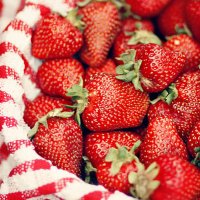 バイセーシ 一同 (@byseishi) 's Twitter Profile Photo