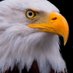 Jorge Miguel 🇧🇷🇺🇲🇮🇱🇦🇷 (@jorgemi56150618) Twitter profile photo Jorge Miguel 🇧🇷🇺🇲🇮🇱🇦🇷 (@jorgemi56150618) Twitter profile photo