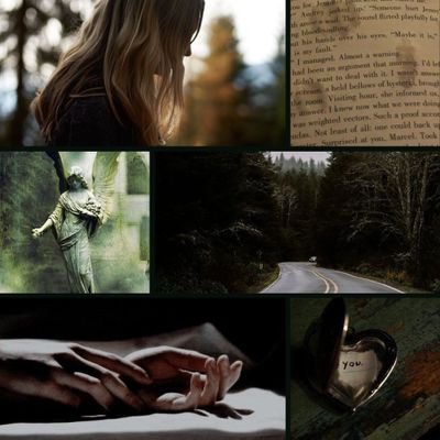 Hi all! 
30 | she/her | ♓️♓️♋️ | trad pub hopeful | #amdrafting | Follow me and my MFC Cody as we go on this publishing journey! 🌲