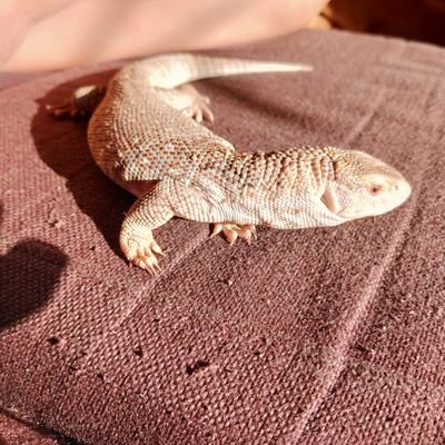 XlqqfVYU3M's profile picture. ãµãã³ãã¢ãã¿ãŒããŒã«ãã€ãœã³é£Œè²ð©
äžç»æ ¡ð©äž3ð©æè³ð©BTCã¡ã¿ãã©HODL