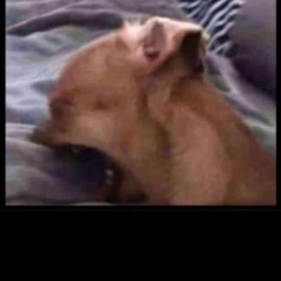 LinoOyet's profile picture. Positive life💖happy life⚽