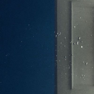 lilyann4444's profile picture. 