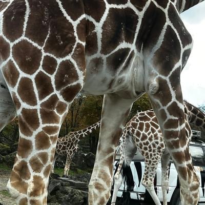 oDkreymcVH49518's profile picture. ゲーム大好き！
お気に入りゲーム実況者探し中
