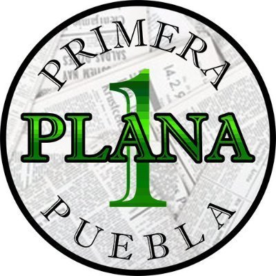 Primera_PlanaP Profile Picture