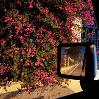 𝐌𝐚𝐫𝐰𝐚 𝐚𝐥𝐢 (@marwaali09) Twitter profile photo