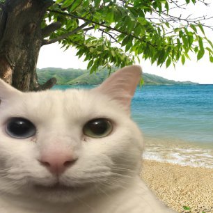 clorodio's profile picture. 