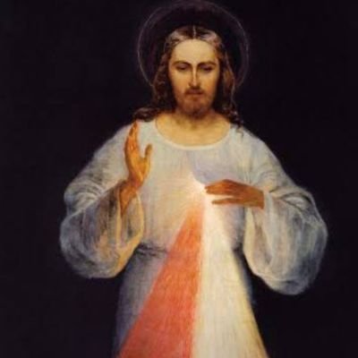 OhearneTerence's profile picture. Traditional Catholic, Husband, Father, Unvaxxed The Truth is out there do your Own research 
You Tube site Catholic Faith Media