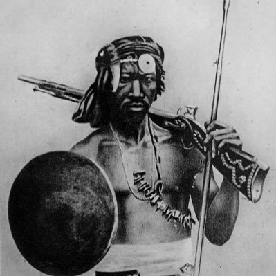 jsm_shams's profile picture. whitebelt in life