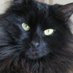 Millie (@gypsham13) Twitter profile photo Millie (@gypsham13) Twitter profile photo