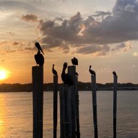 Bob Stevens (@bobstev32346970) 's Twitter Profile