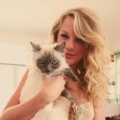 mirrorballhox's profile picture. backup for @tisivy