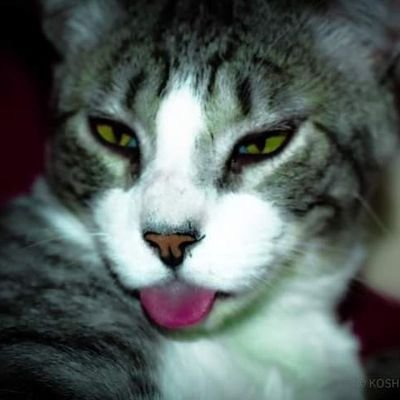ldanielcallejas's profile picture. Fine Arts