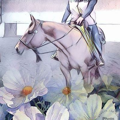 dogsandhorsestl's profile picture. Love the snow, love the mountains! Love my doggies!