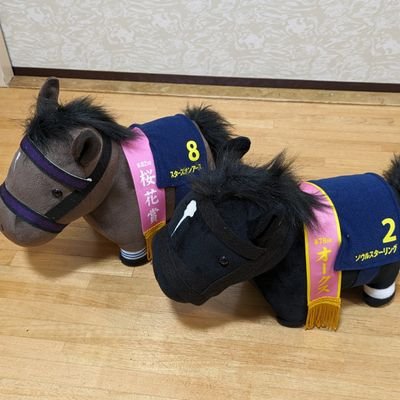 競馬歴はそこそこ。
前走不利馬や血統から予想してます！
ただまだまだ勉強中。
好きな馬はアエロリット、クロノジェネシス
現役馬は探し中👀