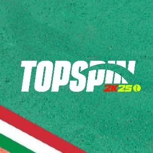 TopSpin2k25ita Profile Picture