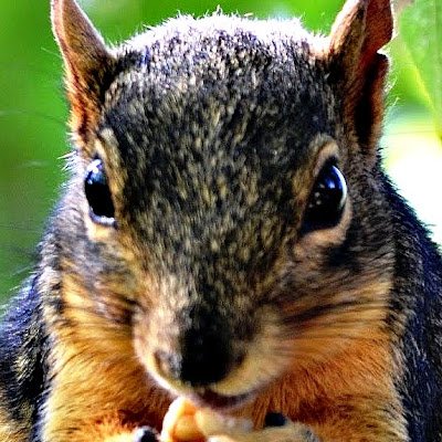 G60Tippi's profile picture. 