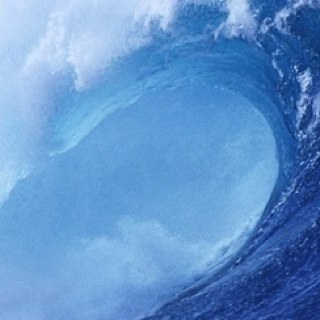 mackdogg24's profile picture. 