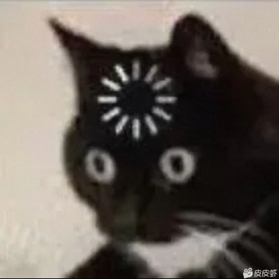 err0rs666's profile picture. bug bounty